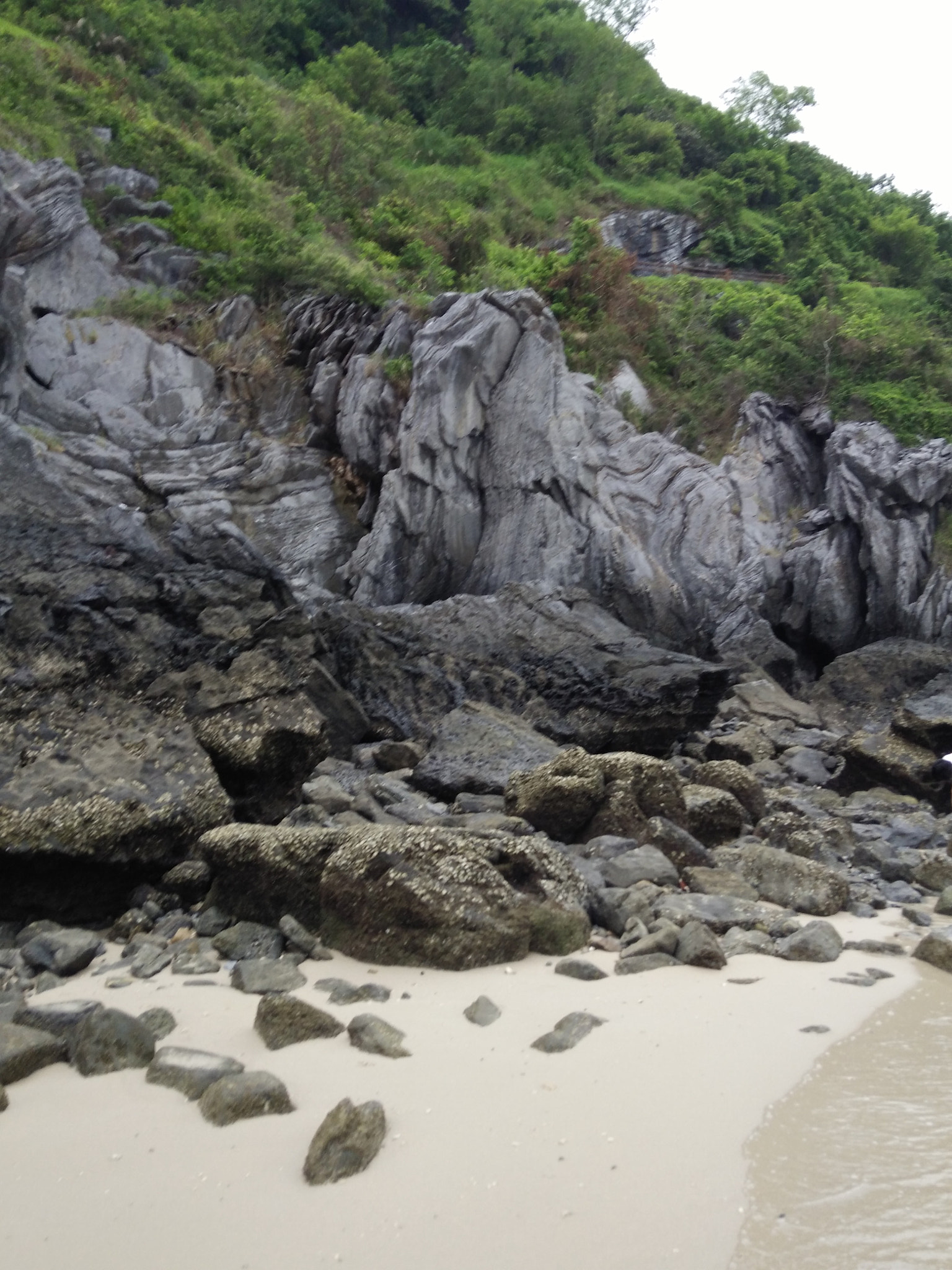 OPPO R7 Lite sample photo. Monkey island photography