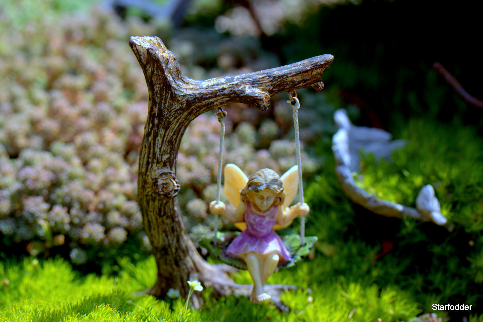 Canon EF-S 60mm F2.8 Macro USM sample photo. Img photography