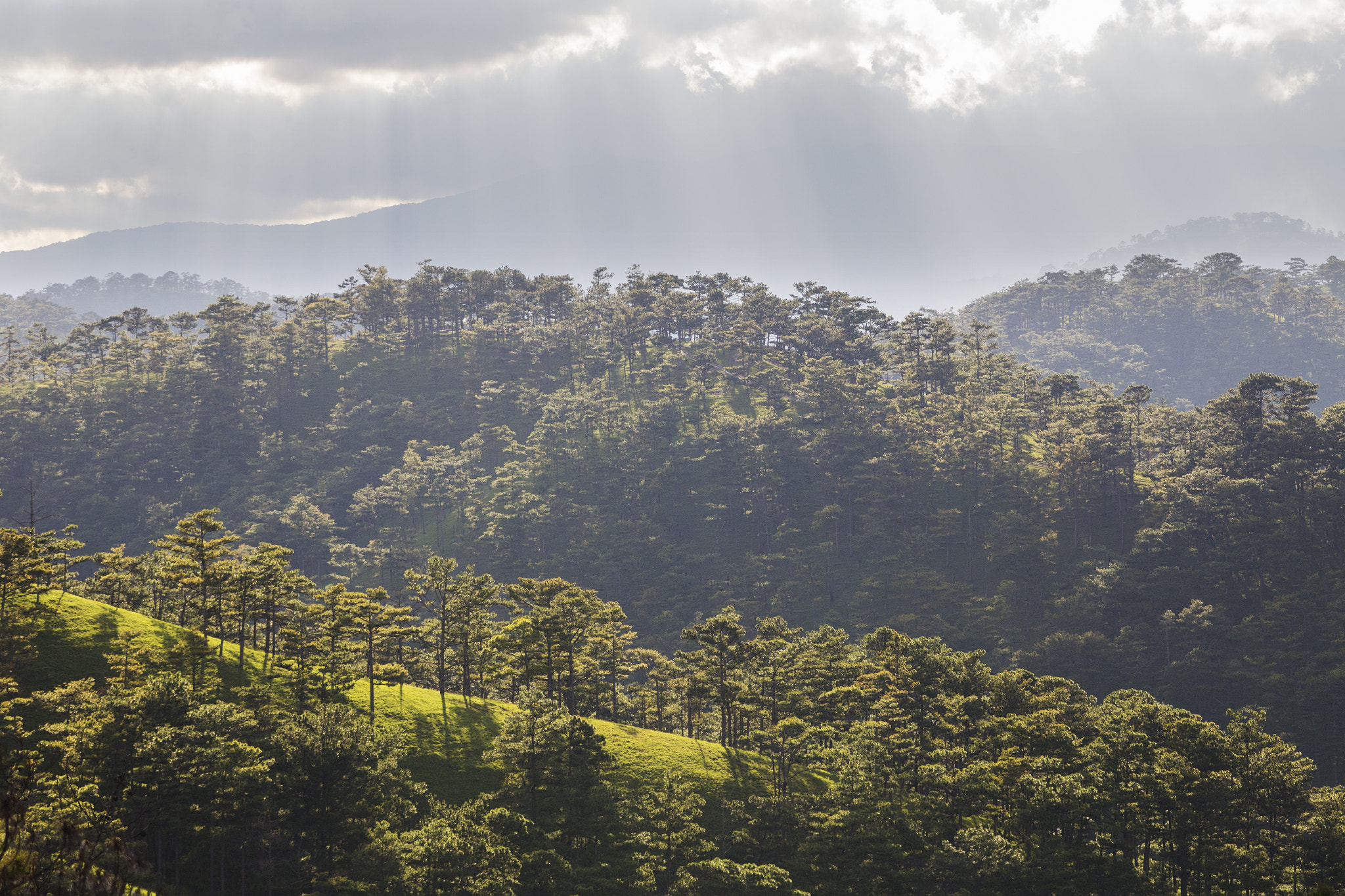 Canon EF 100-300mm f/5.6 sample photo. Da lat photography