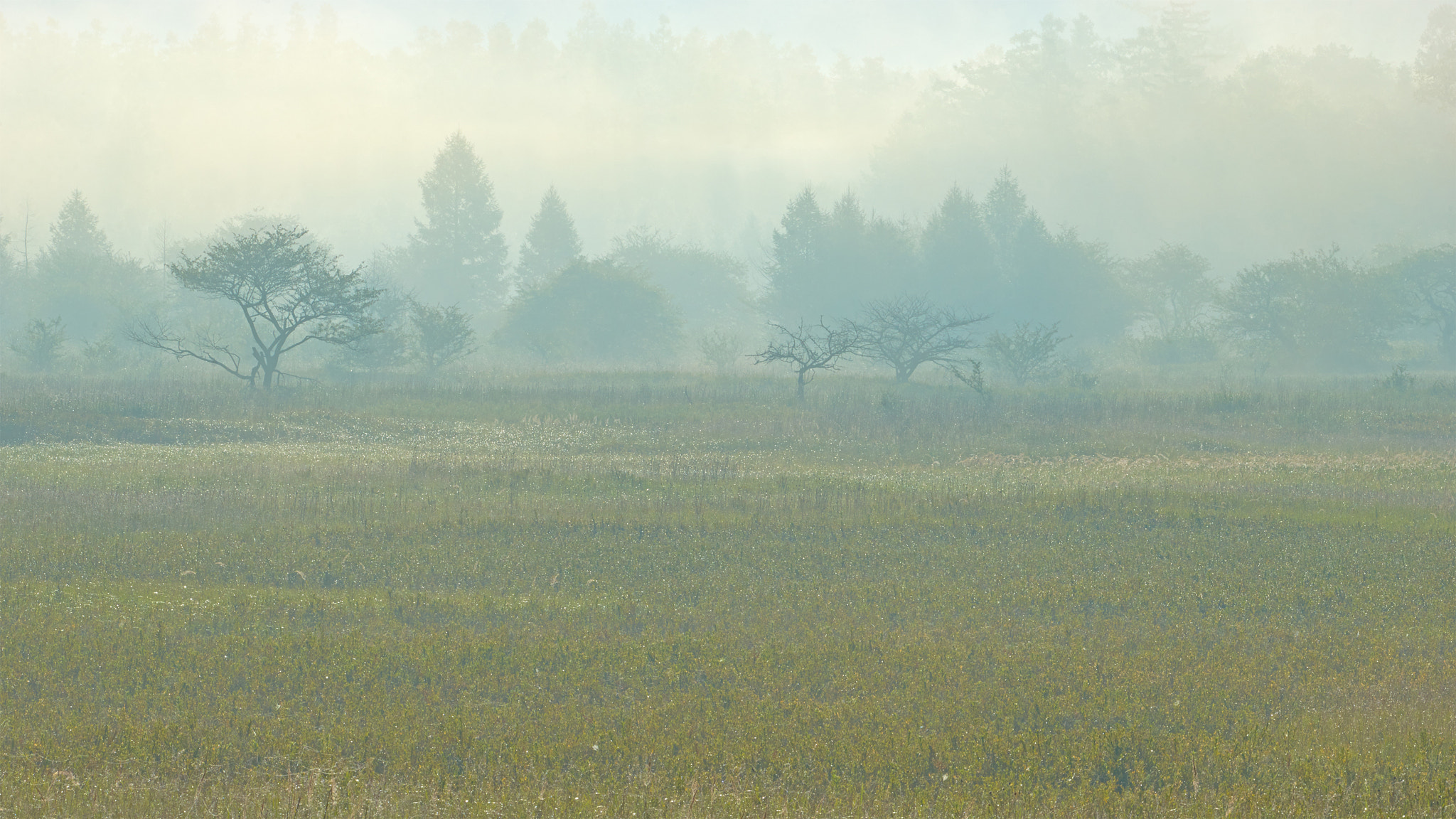 Sony 70-400mm F4-5.6 G SSM II sample photo. Hazy brilliance photography