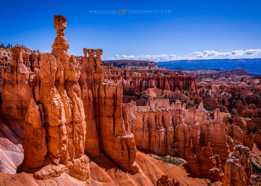 Canon EOS 5DS + Canon EF 24-70mm F2.8L USM sample photo. Navajo loop trail photography