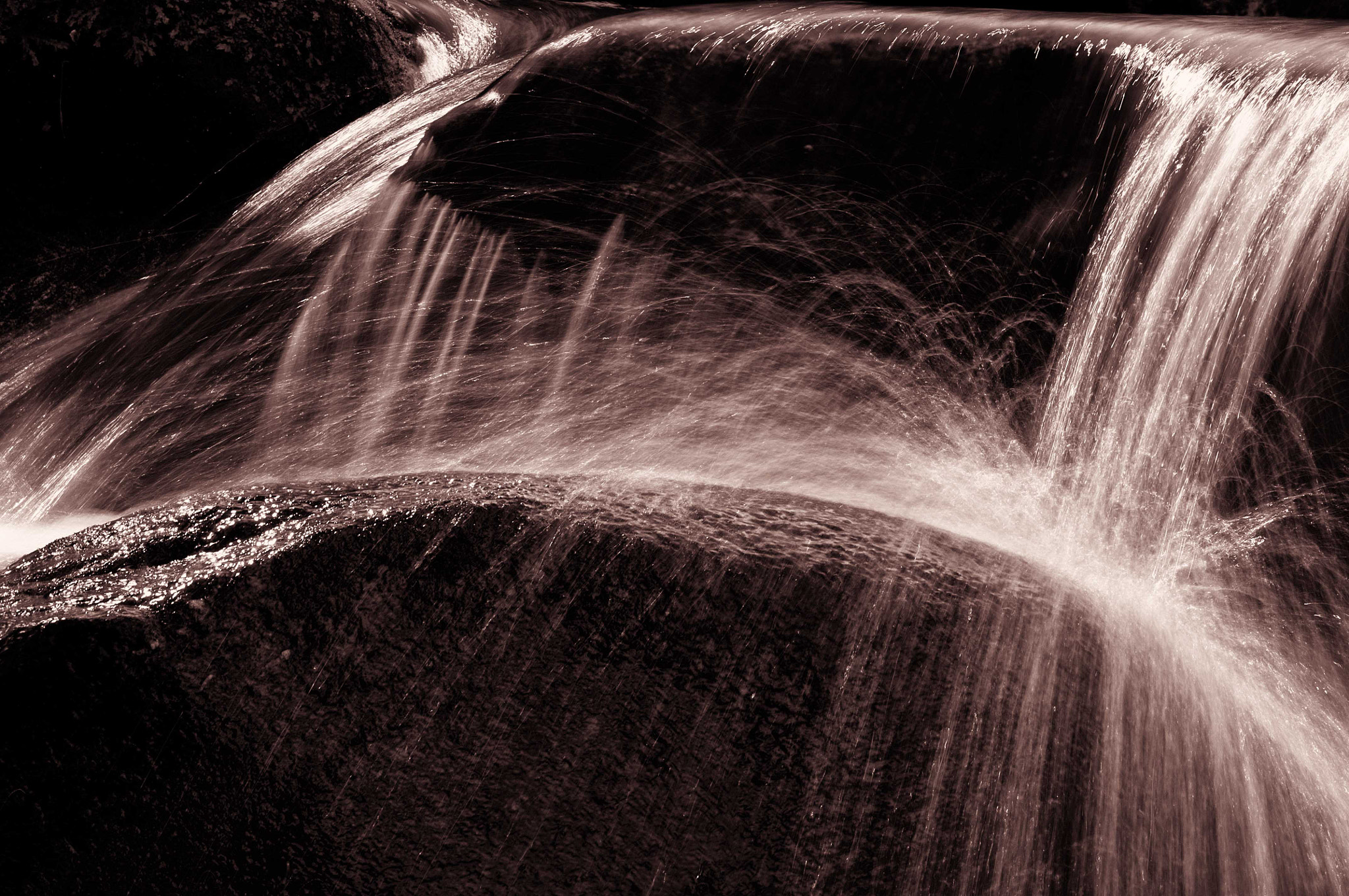 Nikon D2Xs sample photo. Splash photography