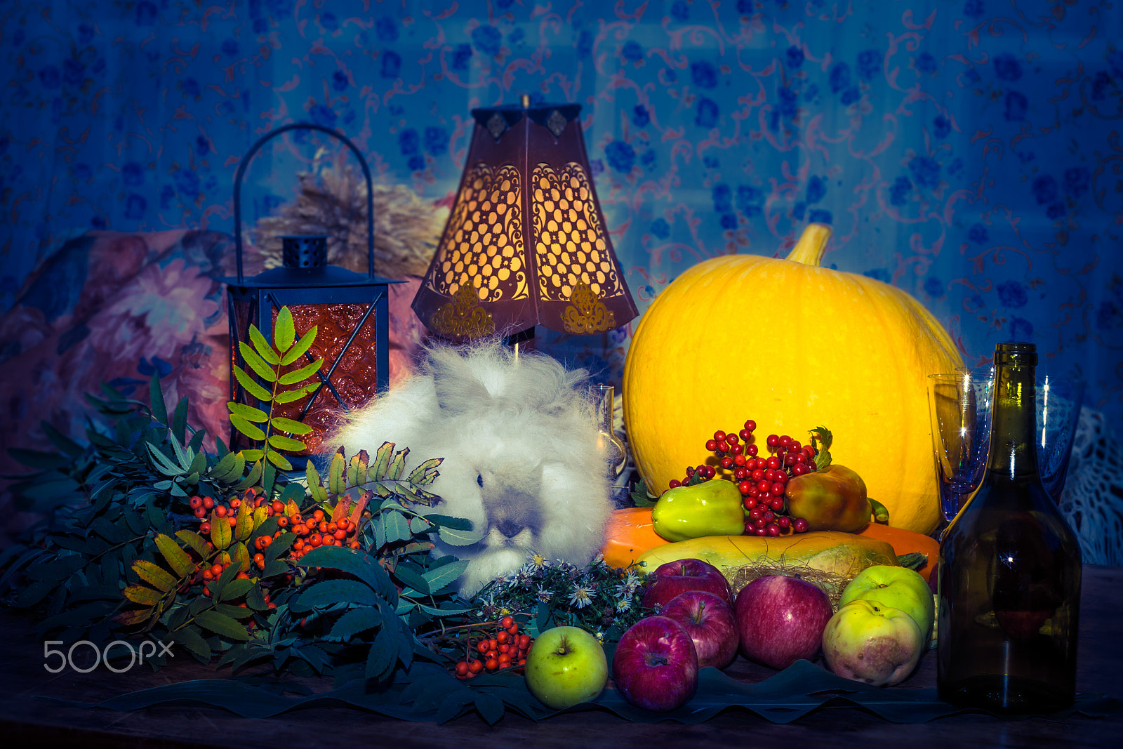 Canon EOS-1D Mark IV sample photo. Still to day of thanksgiving with autumn vegetables, fruit, pump photography