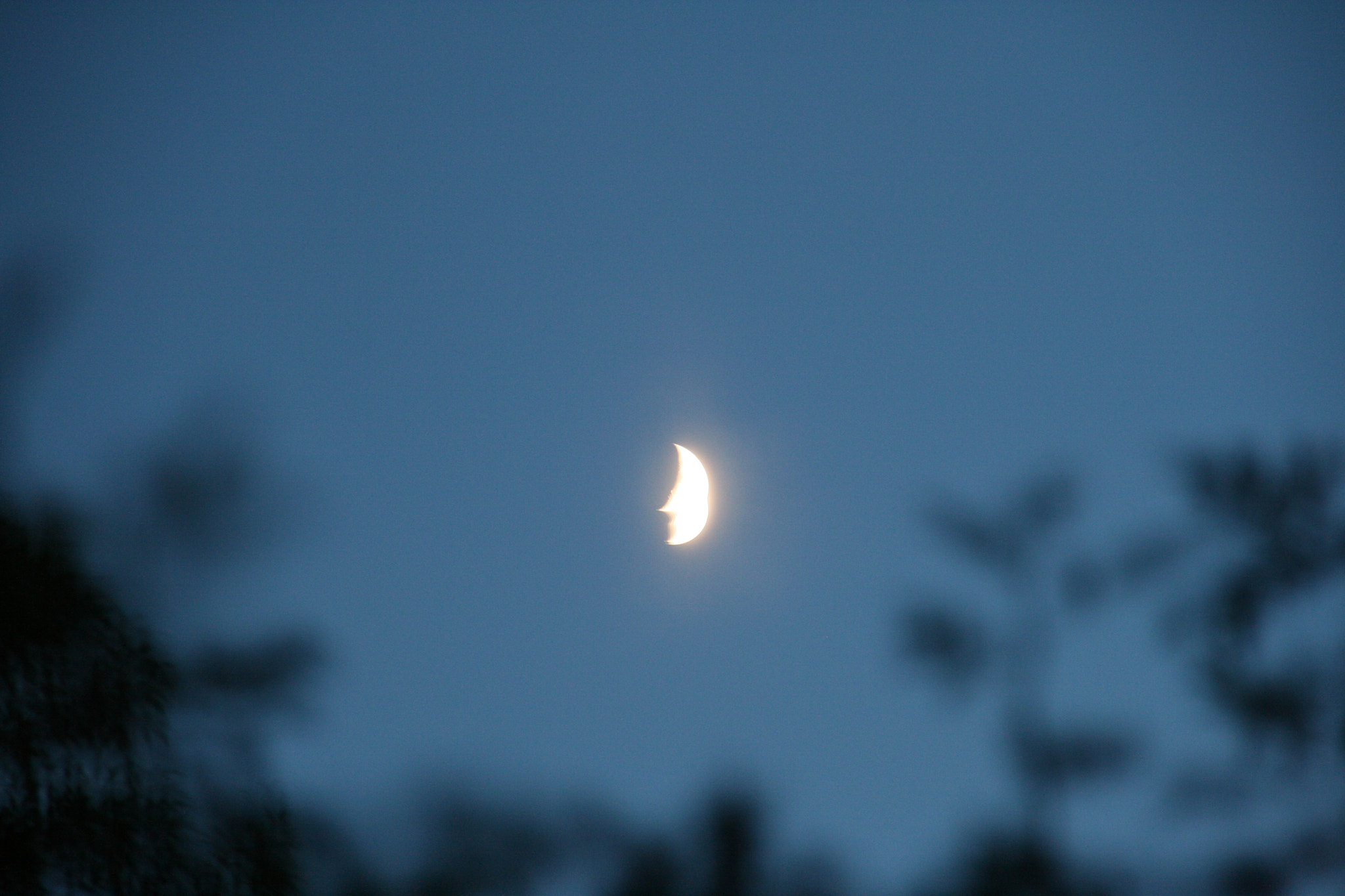 Sigma 18-125mm f/3.5-5.6 DC IF ASP sample photo. Moon photography