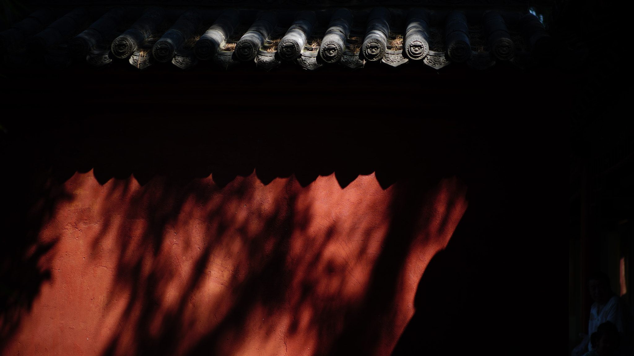 Sony a7S + Sony Sonnar T* FE 55mm F1.8 ZA sample photo. Wall photography