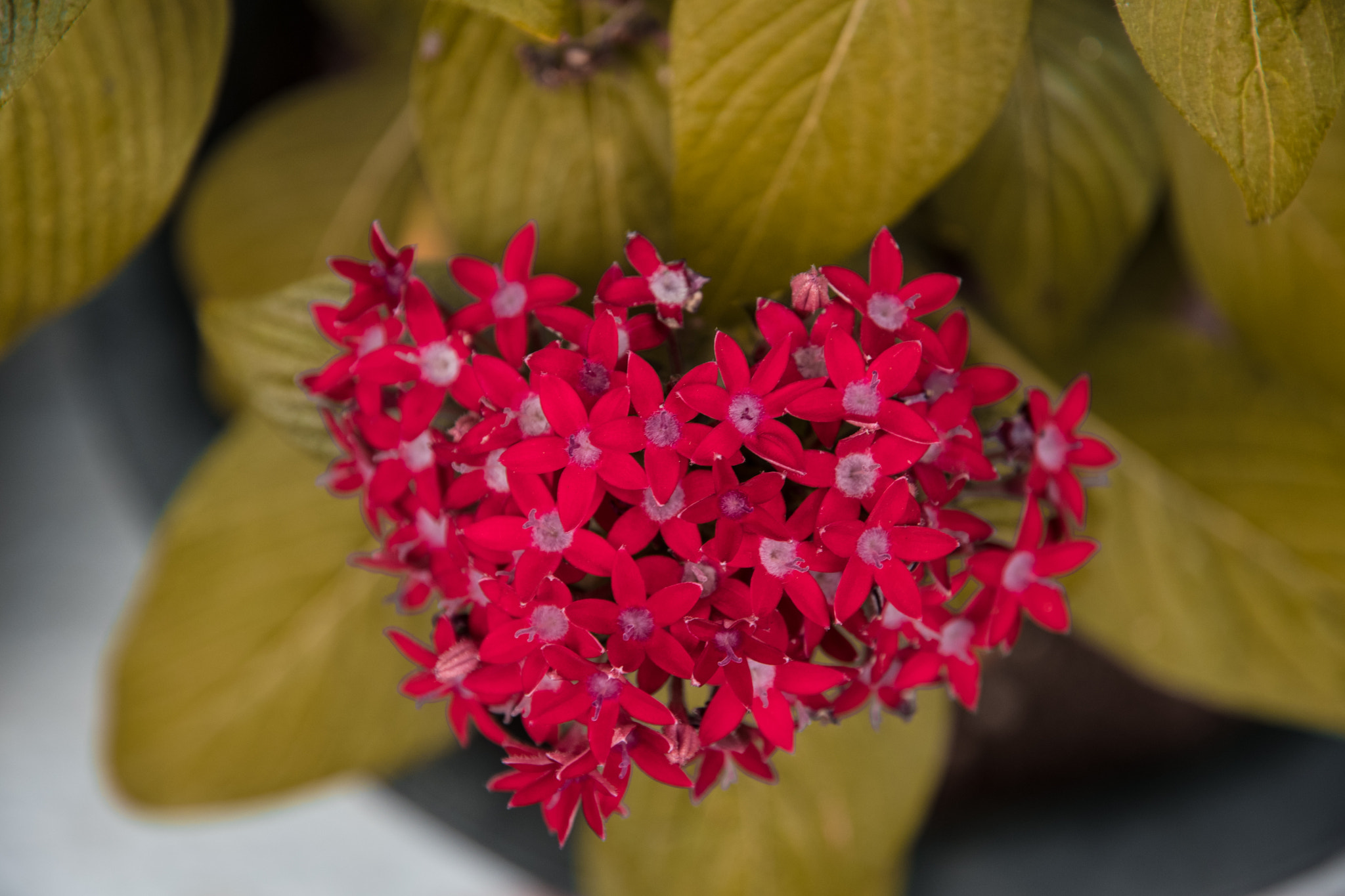 Nikon D500 sample photo. Nonamed photography