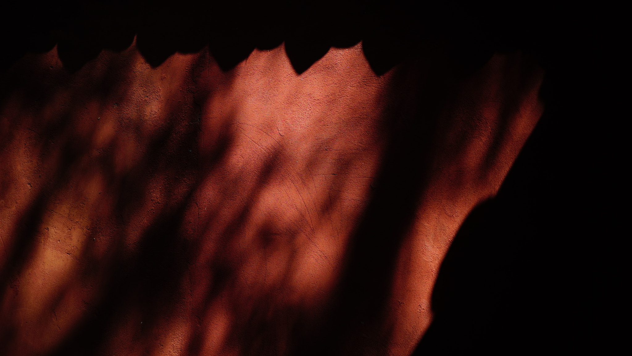 Sony a7S + Sony Sonnar T* FE 55mm F1.8 ZA sample photo. Wall photography