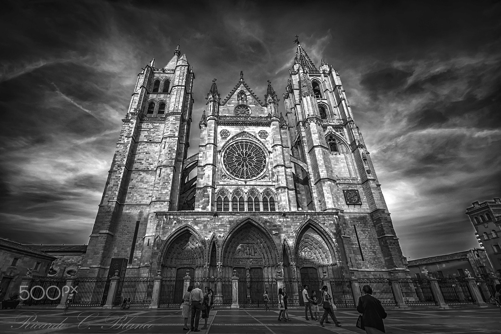 Sigma AF 10-20mm F4-5.6 EX DC sample photo. La pulchra leonina... photography