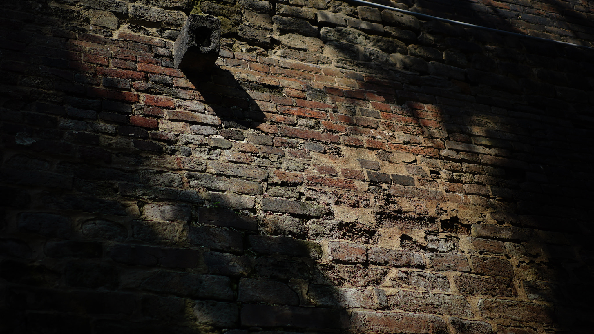 Sony a7S + Sony Sonnar T* FE 55mm F1.8 ZA sample photo. Wall photography