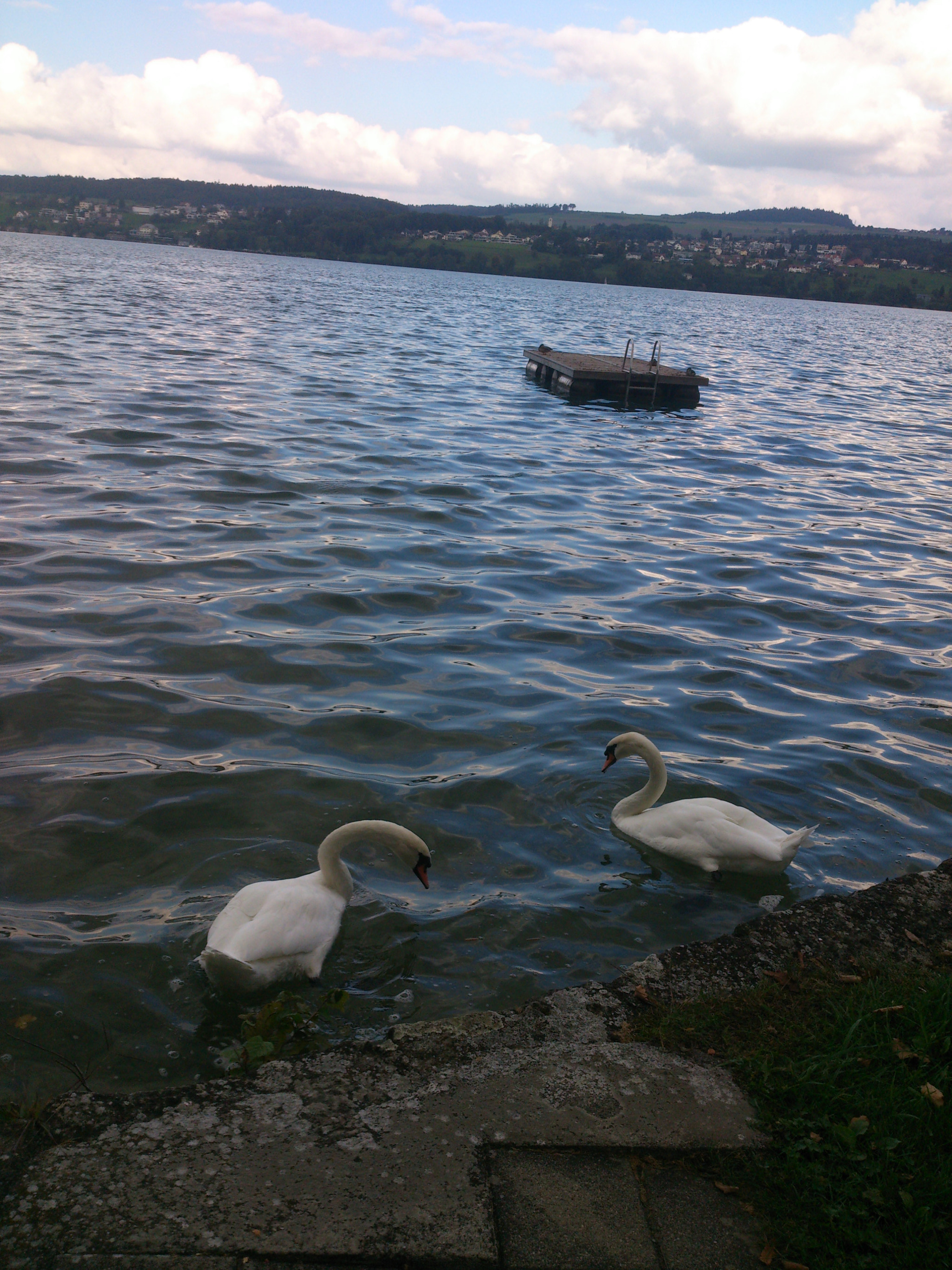 Sony Xperia T sample photo