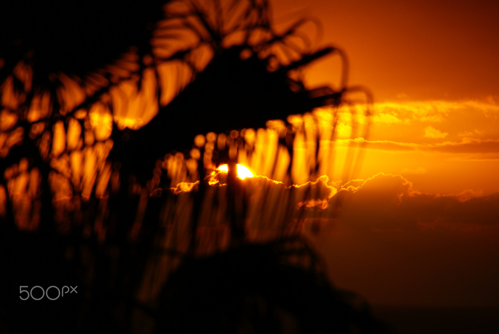 Sony Alpha DSLR-A100 sample photo. Sunsets photography