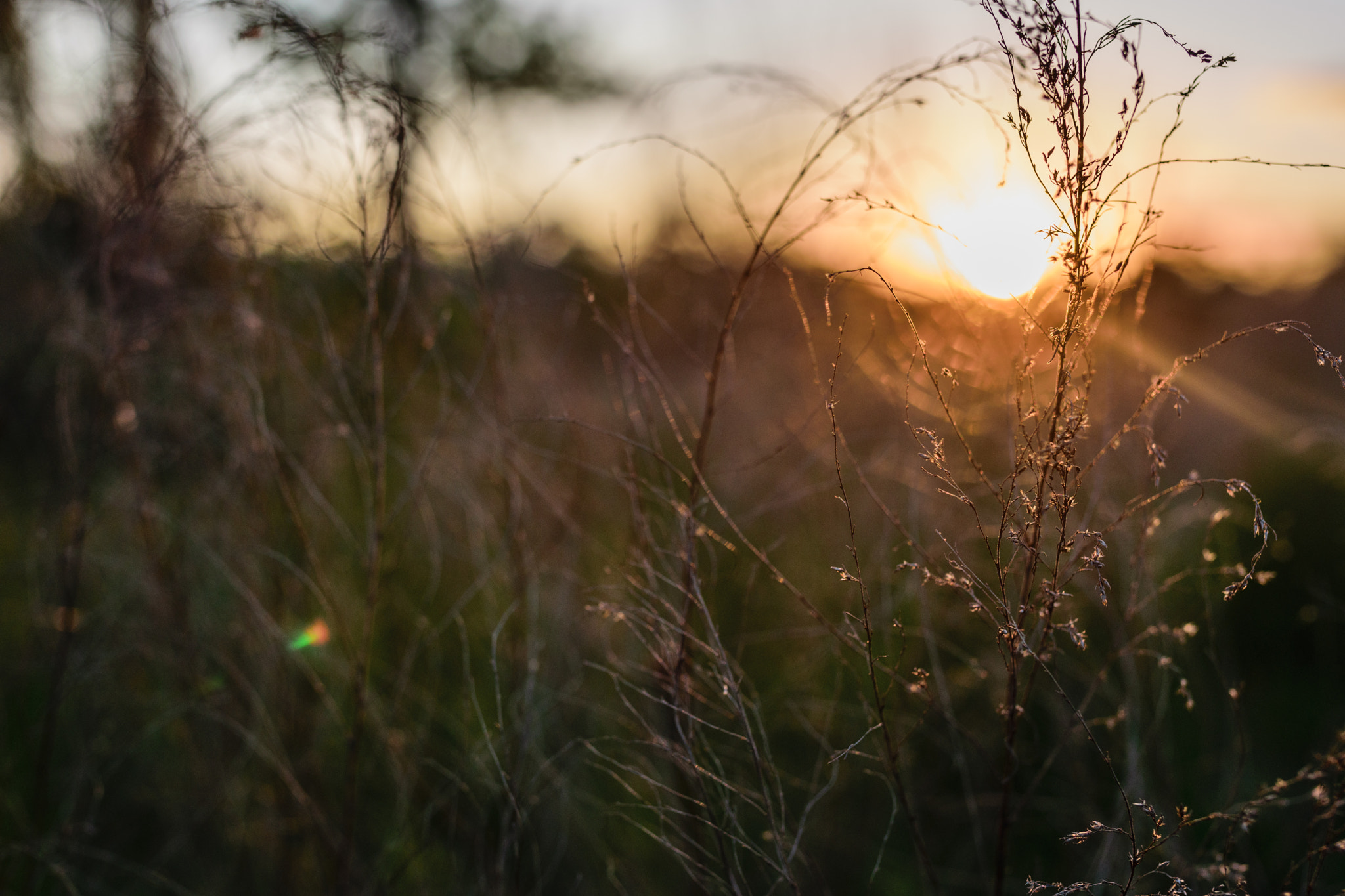 Nikon D5300 + Sigma 35mm F1.4 DG HSM Art sample photo. Sunset photography