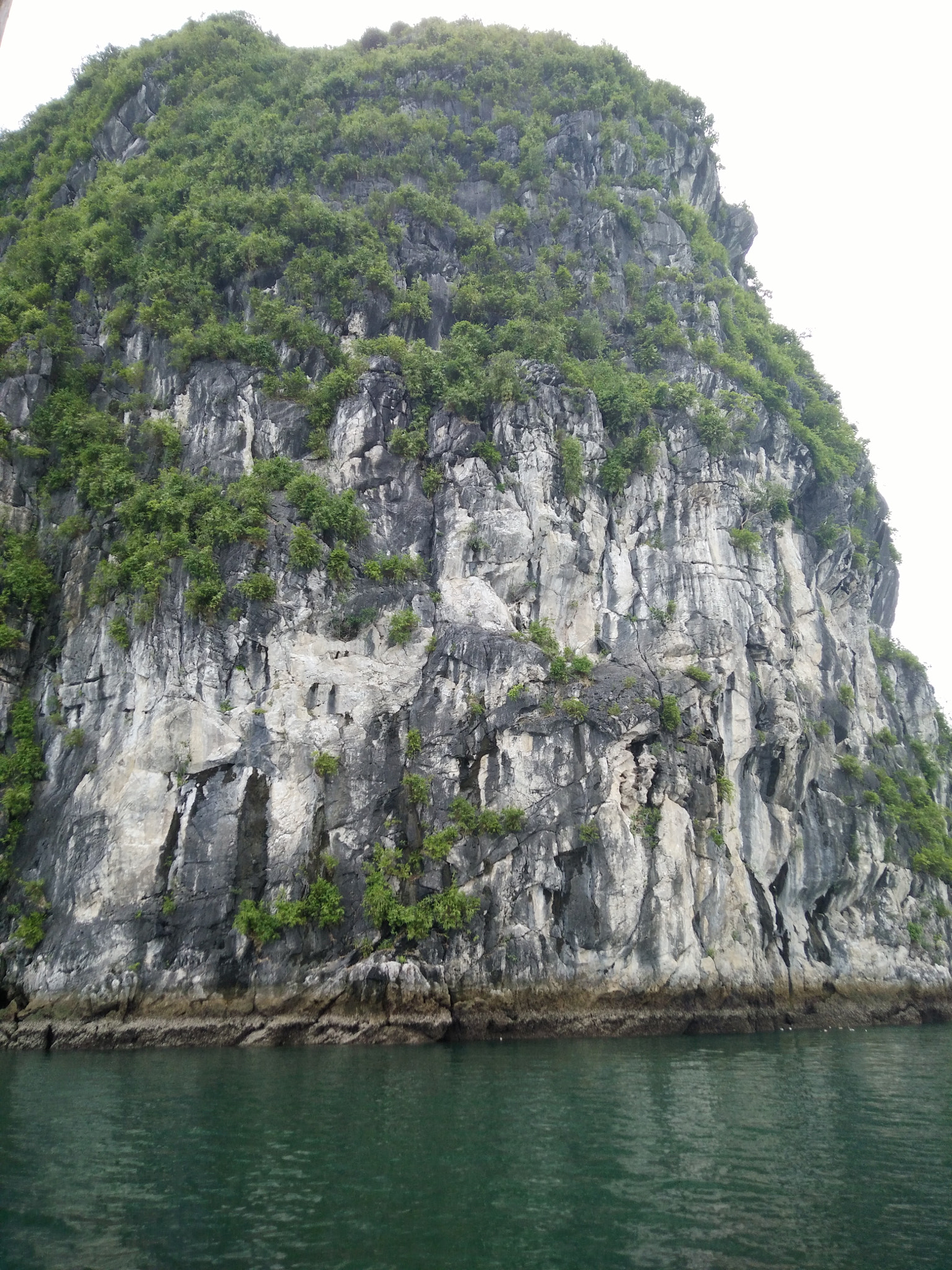 OPPO R7 Lite sample photo. Beautiful nature photography