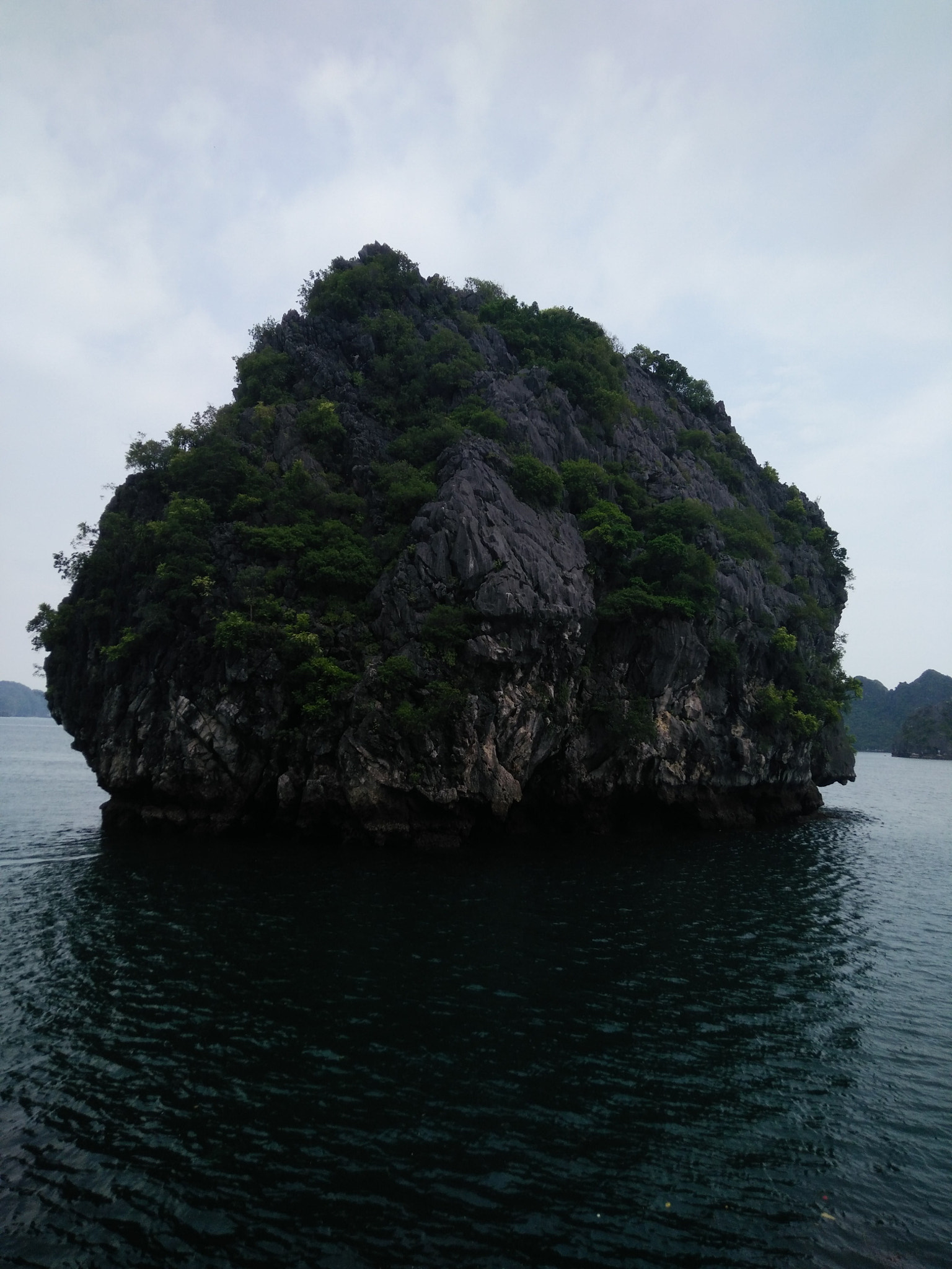 OPPO R7 Lite sample photo. Alone photography