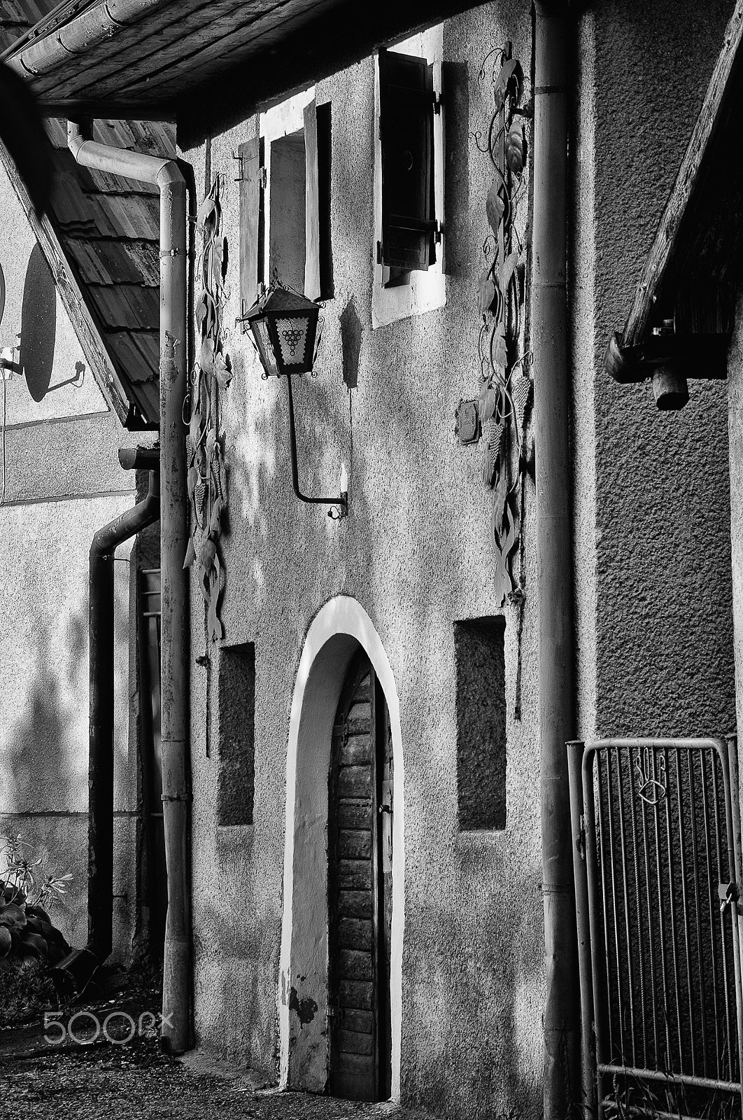 Nikon D5000 sample photo. Vinehouse photography