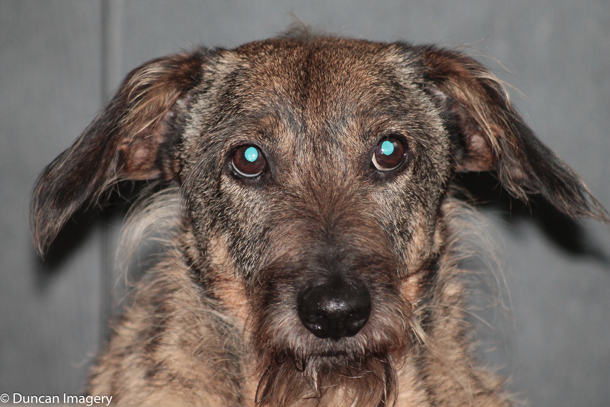 Canon EF 80-200mm F4.5-5.6 II sample photo. Another critter pic :-) photography