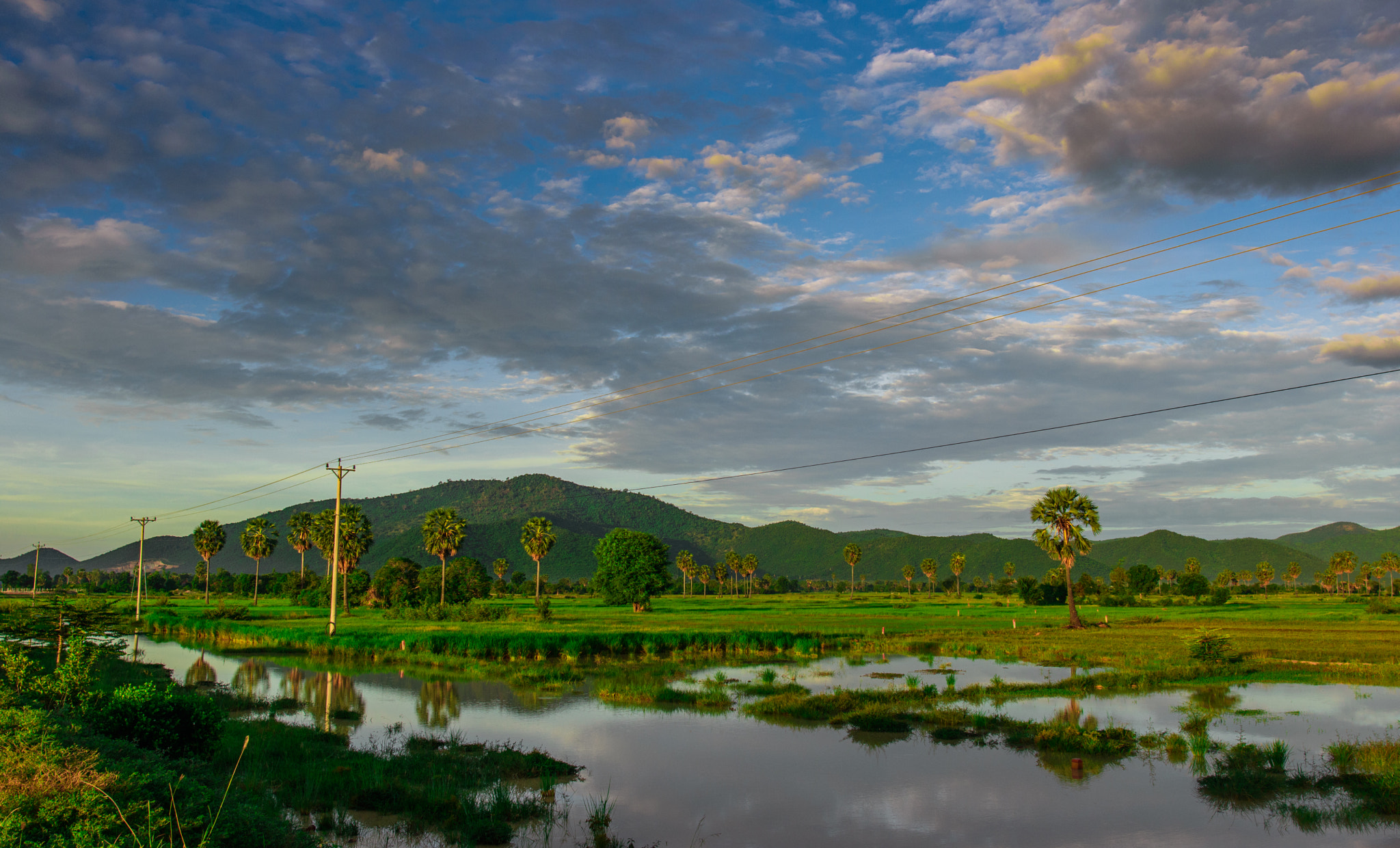 Nikon AF-S Nikkor 20mm F1.8G ED sample photo. Lls photography