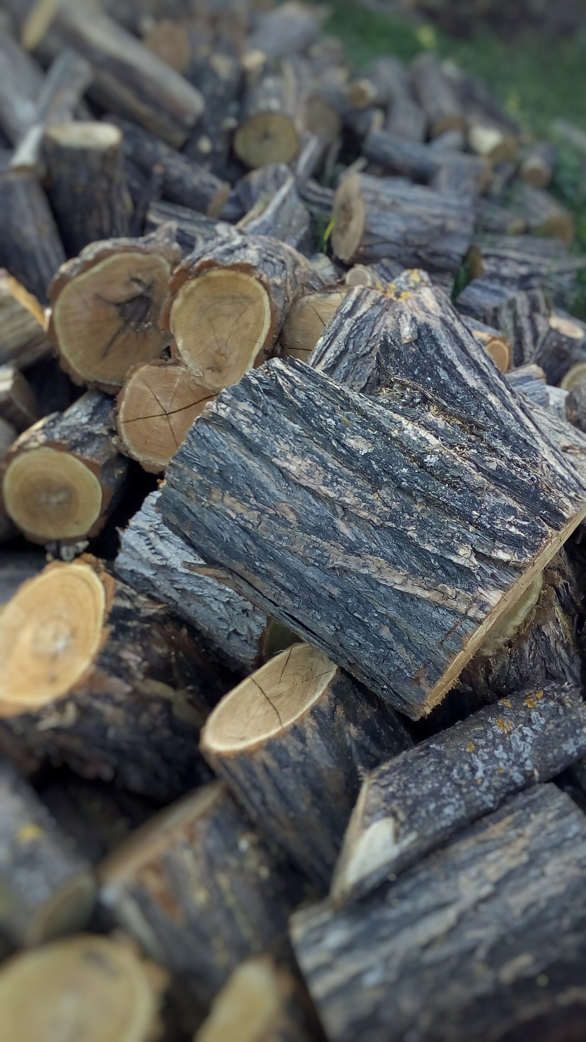 ASUS Zenfone Go (ASUS_Z00VD) sample photo. Wood v2.0 photography