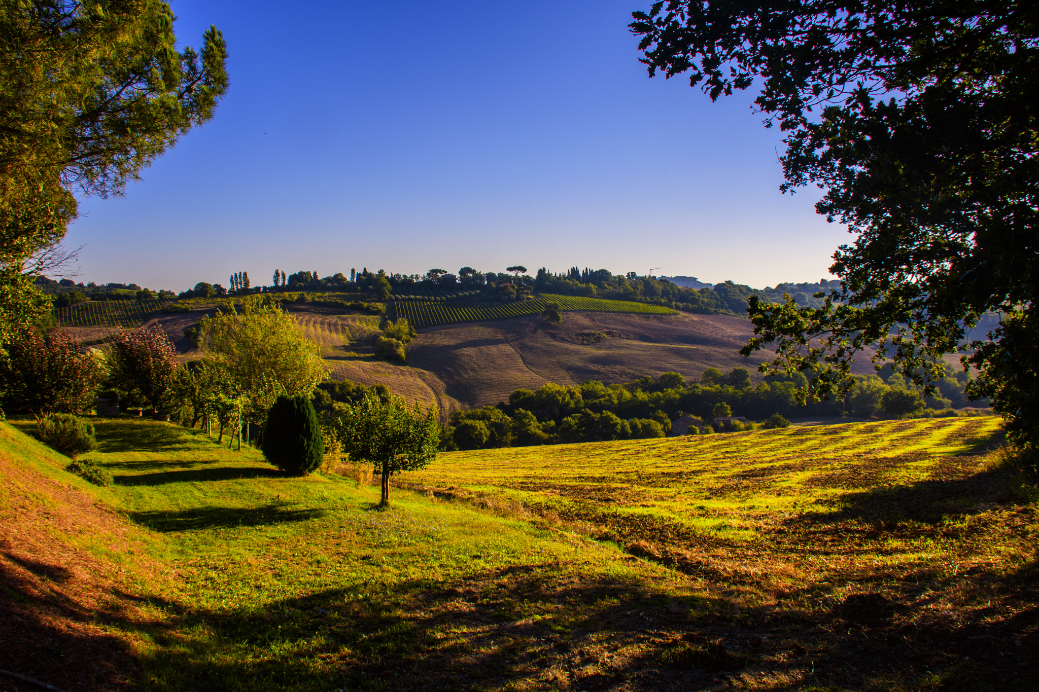 Nikon D500 sample photo. Tuscany morning sunrise lighter photography
