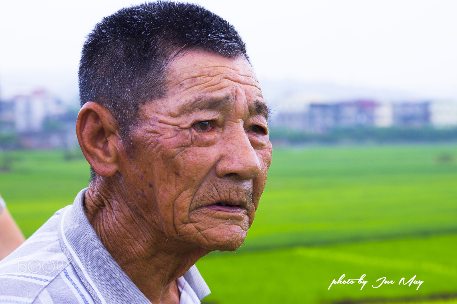 Sony SLT-A77 sample photo. 憂心的老農夫 photography