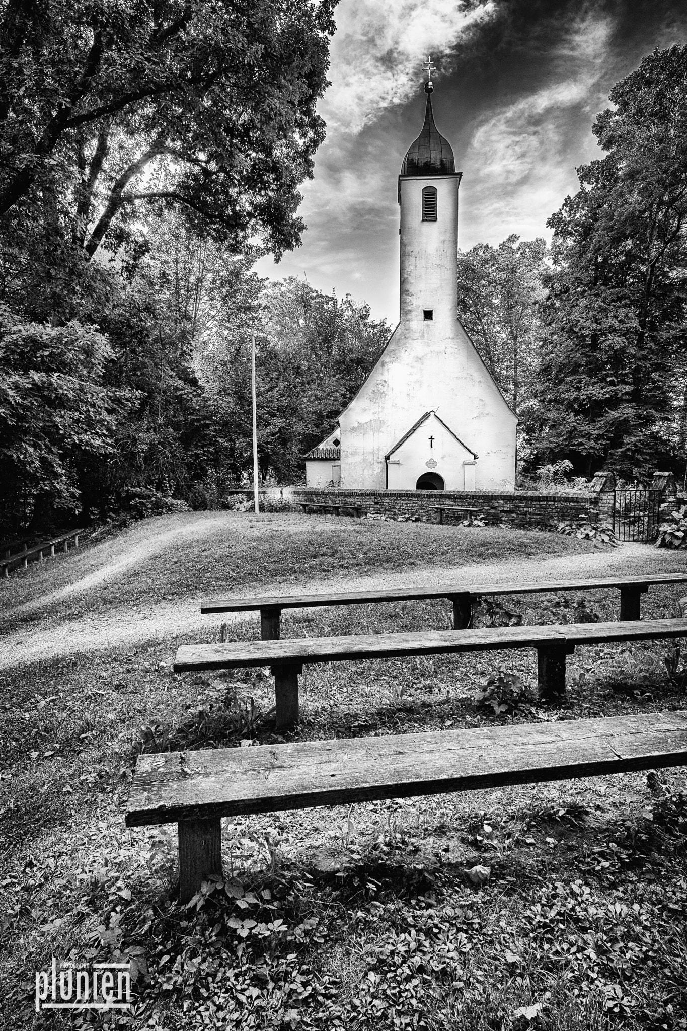 Sony a99 II + Sony 20mm F2.8 sample photo. B&w world forest church photography