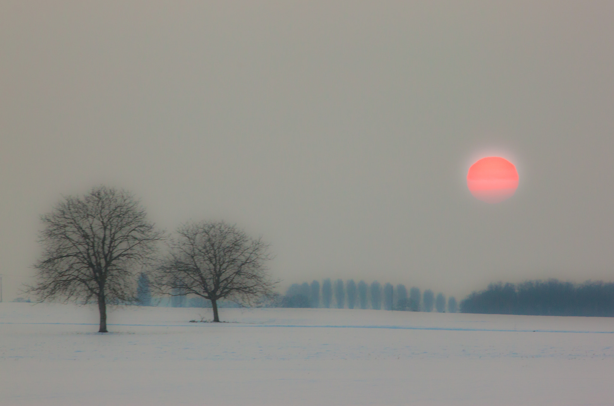 Canon EOS 500D (EOS Rebel T1i / EOS Kiss X3) sample photo. Winter colors photography