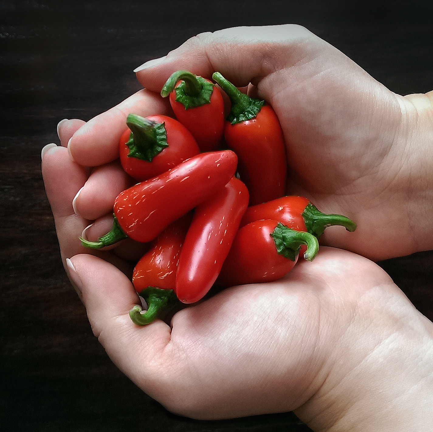 HTC ONE DUAL SIM sample photo. Jalapenos early photography