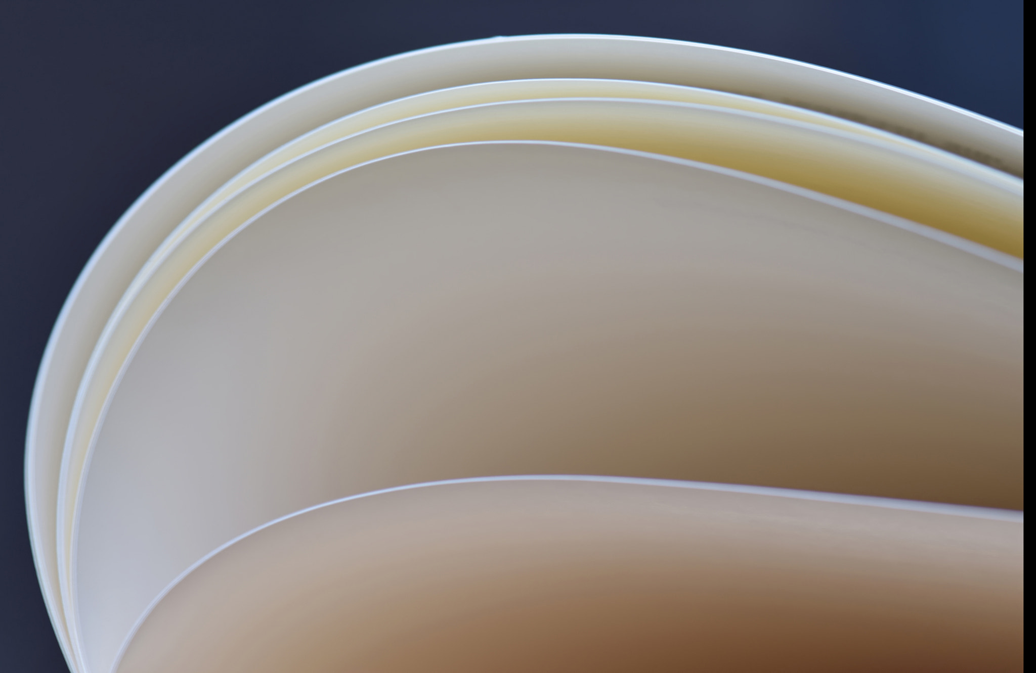 Nikon AF-S Micro-Nikkor 105mm F2.8G IF-ED VR sample photo. Abstraction book photography