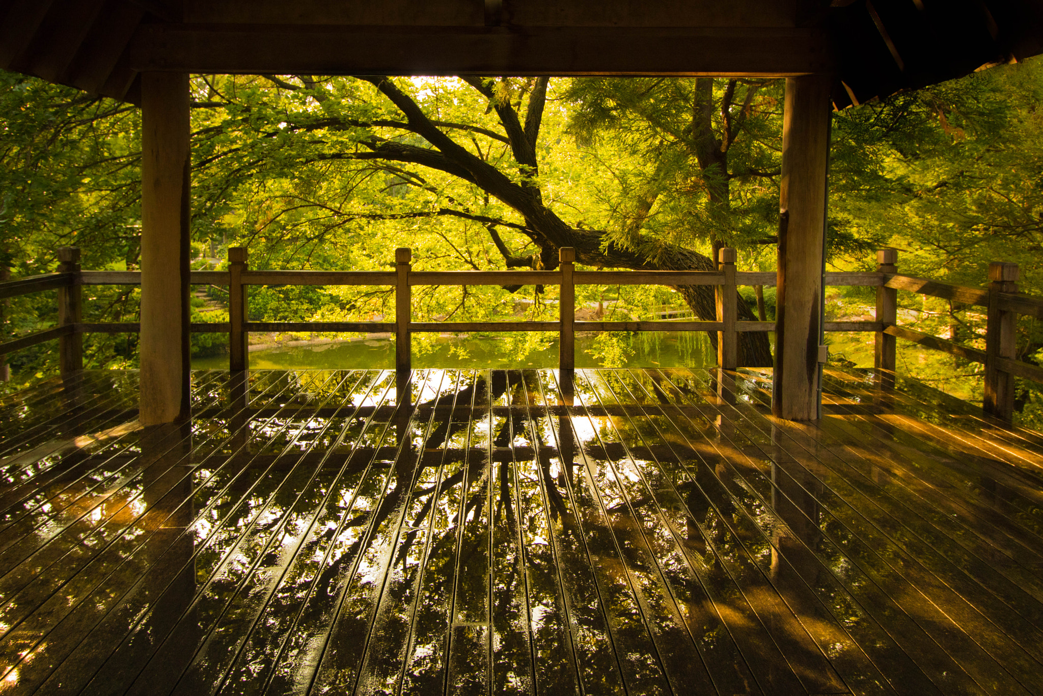 Canon EOS 750D (EOS Rebel T6i / EOS Kiss X8i) sample photo. Pagoda reflection photography