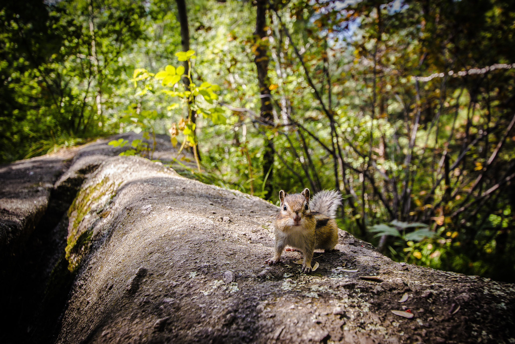 Sigma 10-20mm F3.5 EX DC HSM sample photo. Whatta... photography