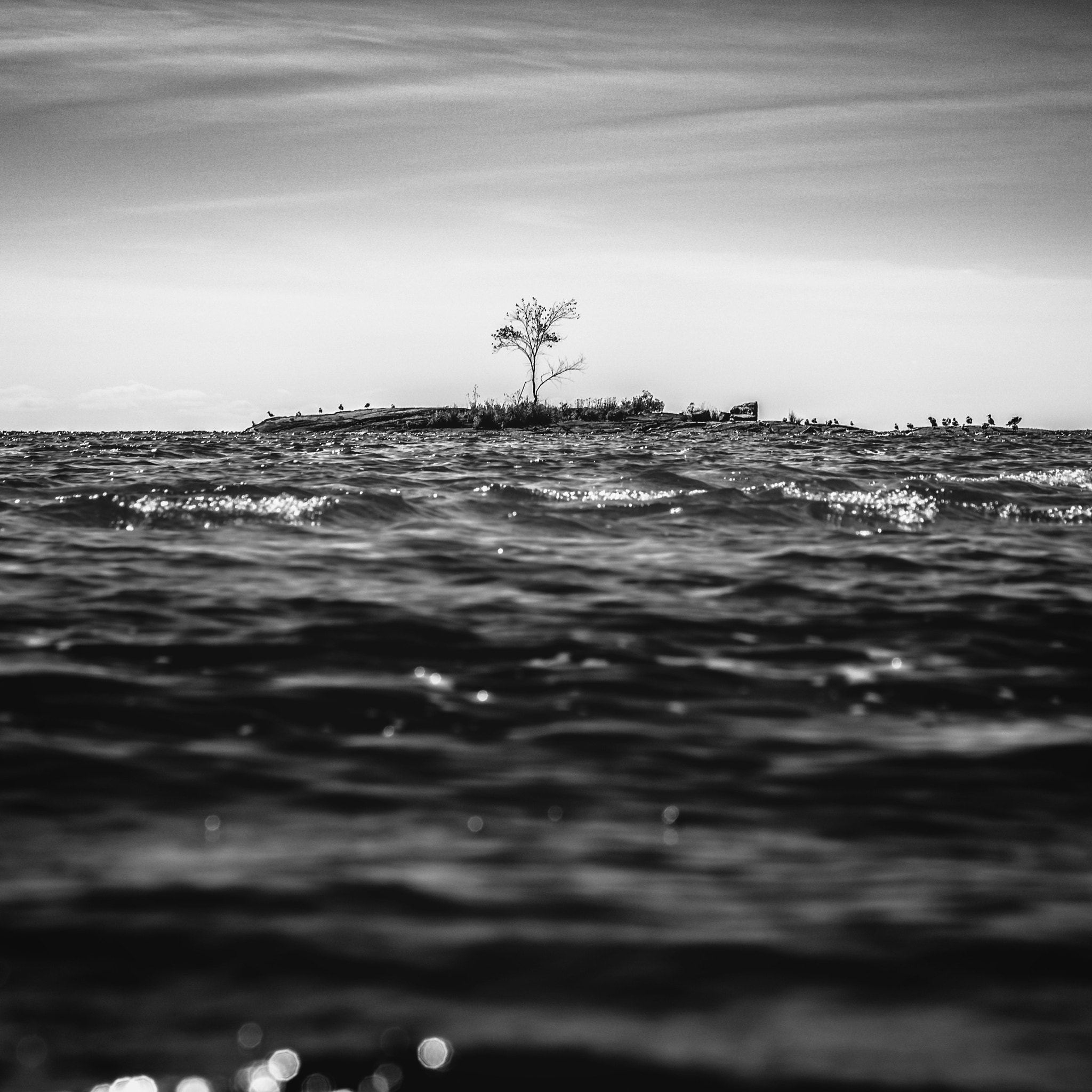 ZEISS Batis 85mm F1.8 sample photo. A lil island photography
