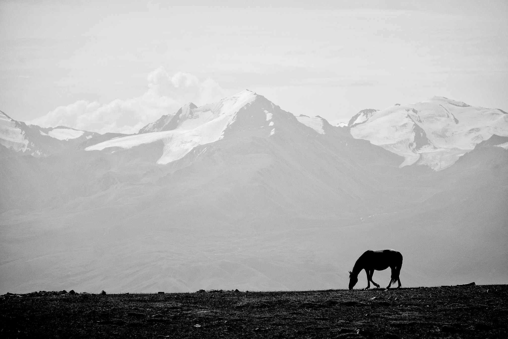 Fujifilm X-E2 + Fujifilm XC 50-230mm F4.5-6.7 OIS sample photo. Horse and me photography