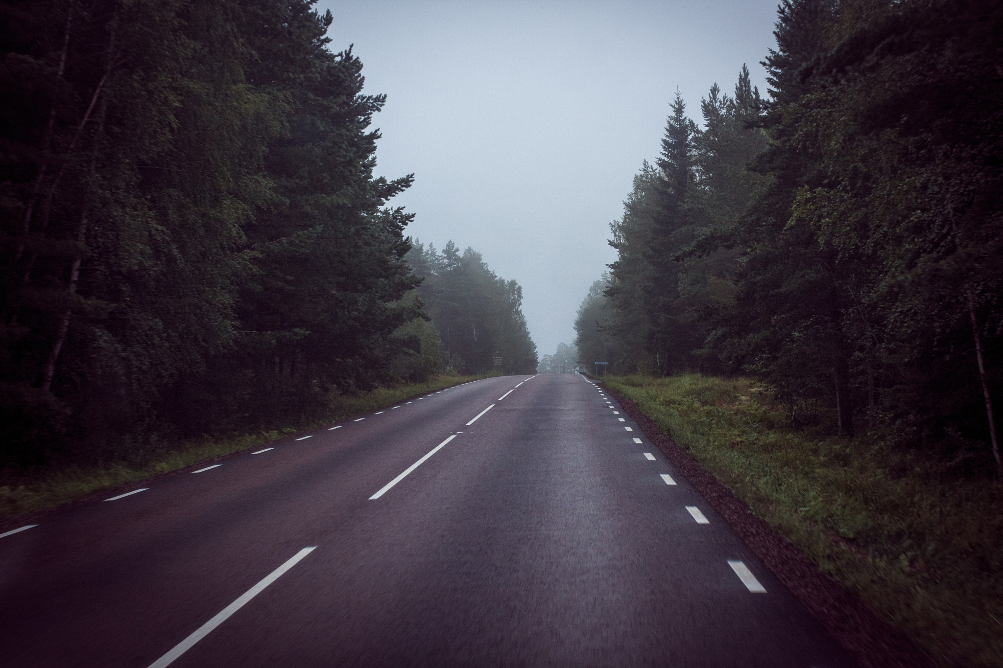 Canon EOS 40D + Canon EF 28mm F1.8 USM sample photo. Foggy forest morning photography