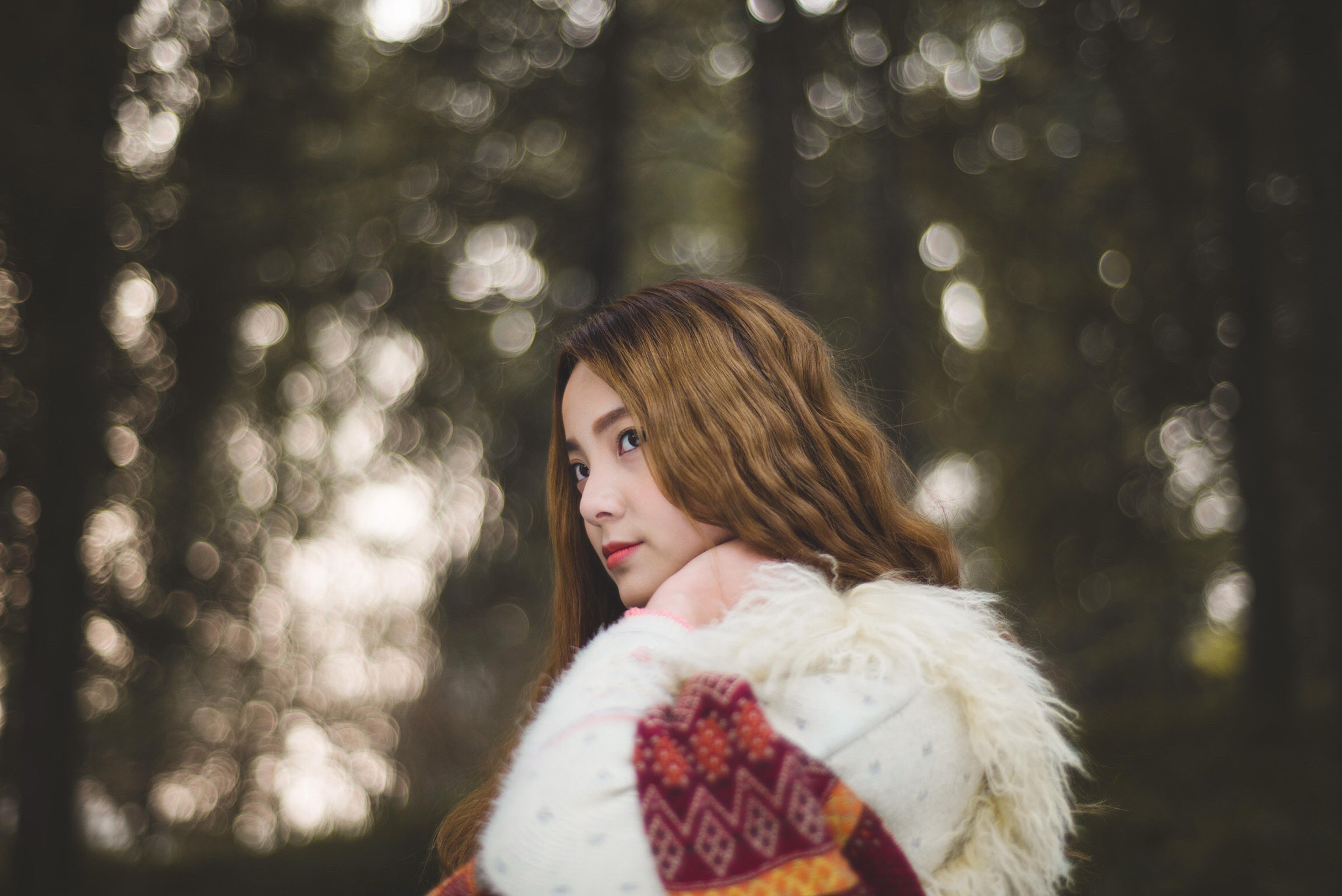 ZEISS Planar T* 50mm F1.4 sample photo