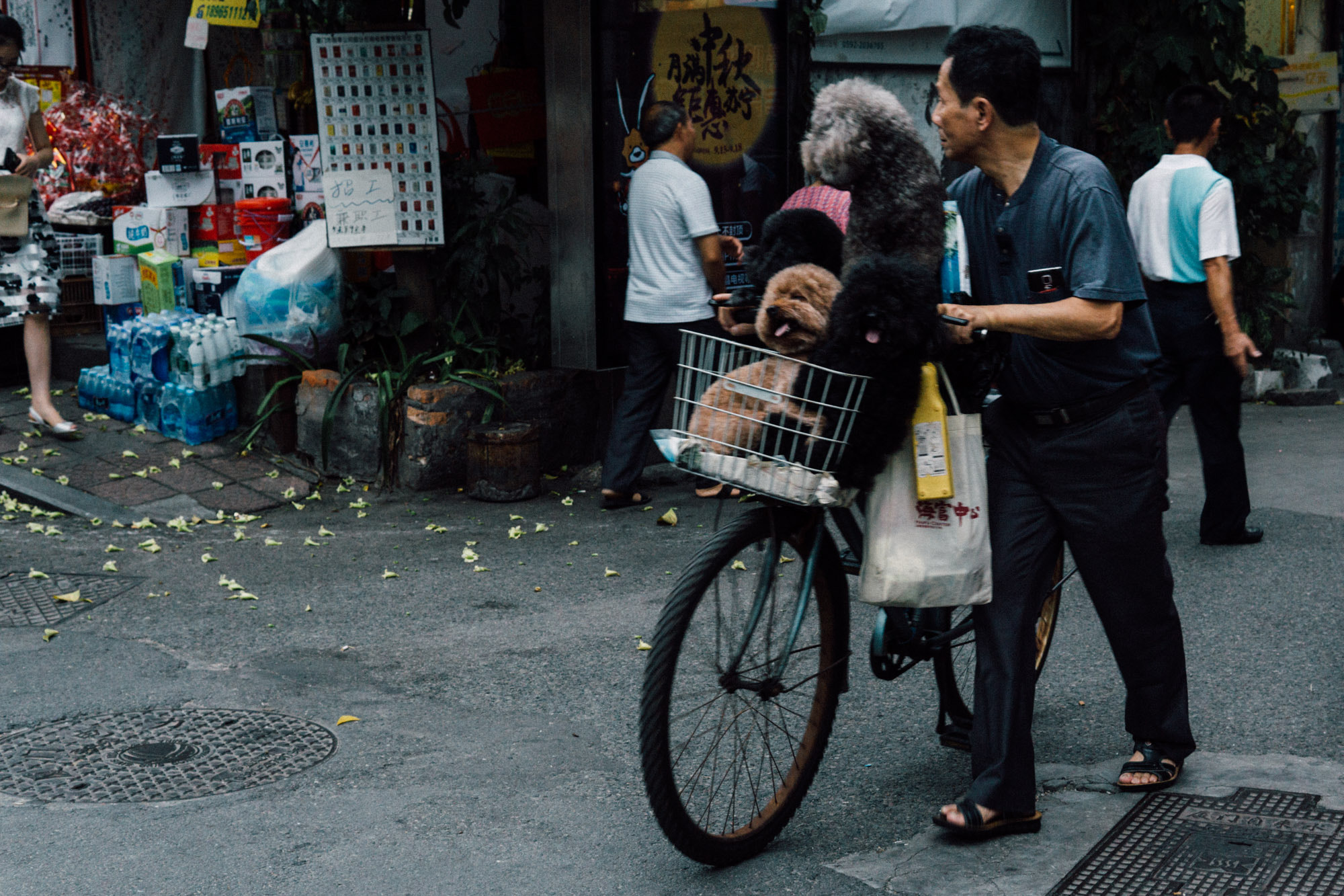 Sony a6000 + Sigma 30mm F1.4 DC DN | C sample photo