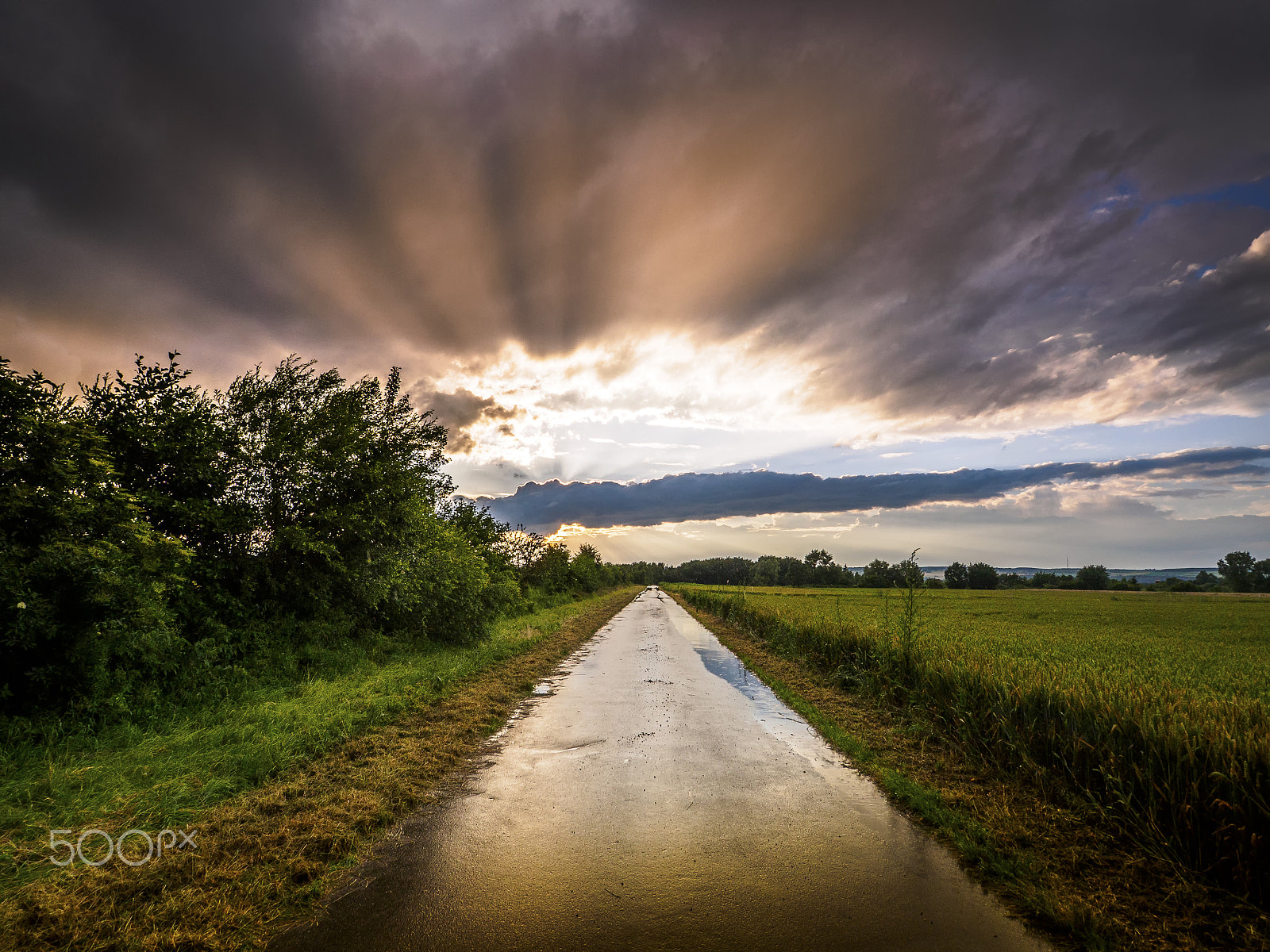 Olympus OM-D E-M5 II + OLYMPUS M.9-18mm F4.0-5.6 sample photo. ~ as the day comes to an end ~ photography