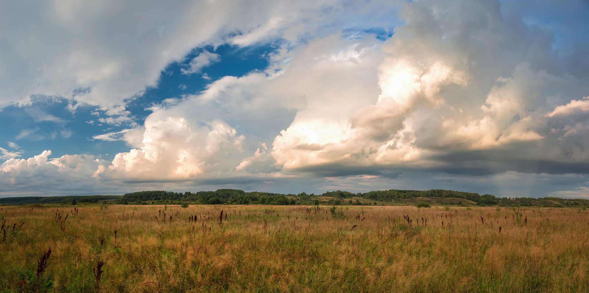 Nikon D600 + AF Zoom-Nikkor 28-85mm f/3.5-4.5 sample photo. Марьино поле photography