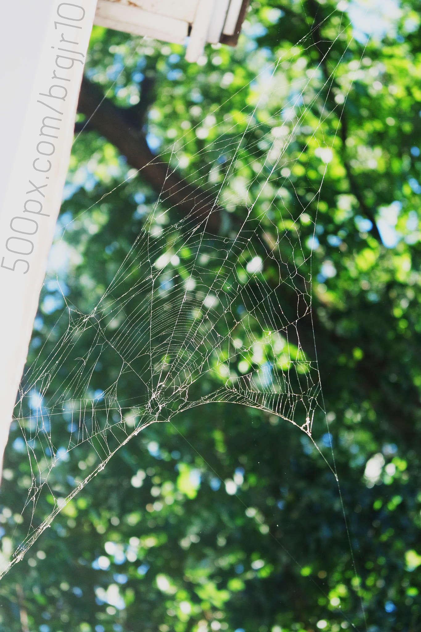 NX 20-50mm F3.5-5.6 sample photo