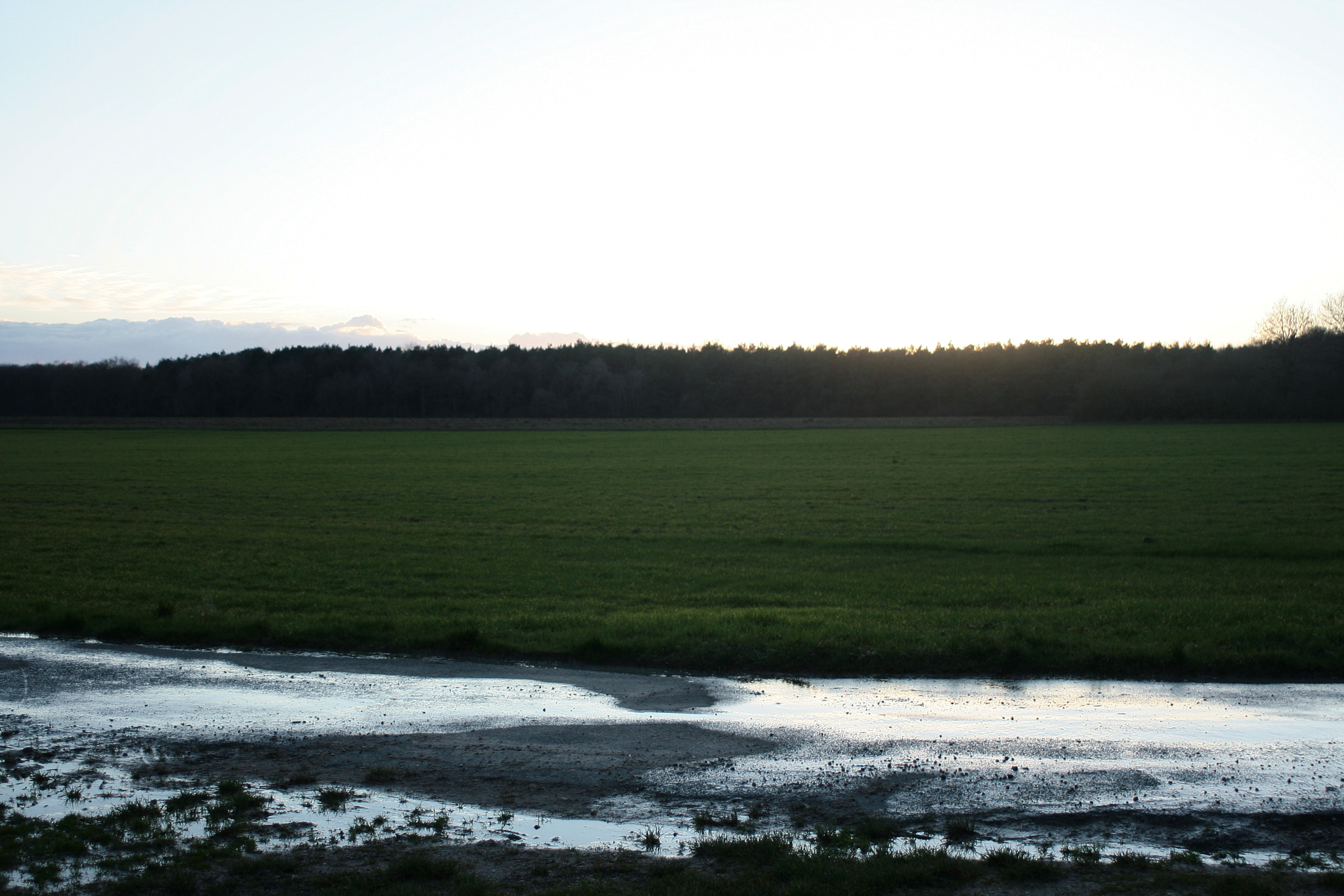 Canon EF 28-80mm f/3.5-5.6 USM IV sample photo. Melancolia photography