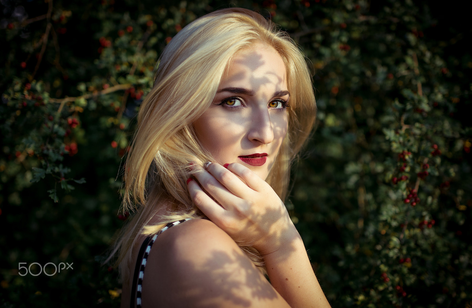 Nikon D5300 + Sigma 35mm F1.4 DG HSM Art sample photo. In the trees photography