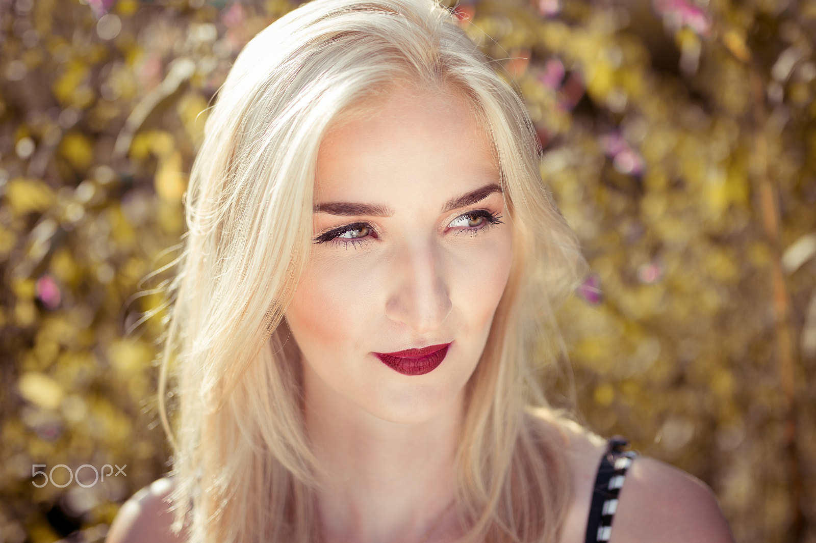 Nikon D5300 + Sigma 35mm F1.4 DG HSM Art sample photo. Flowers all around her photography