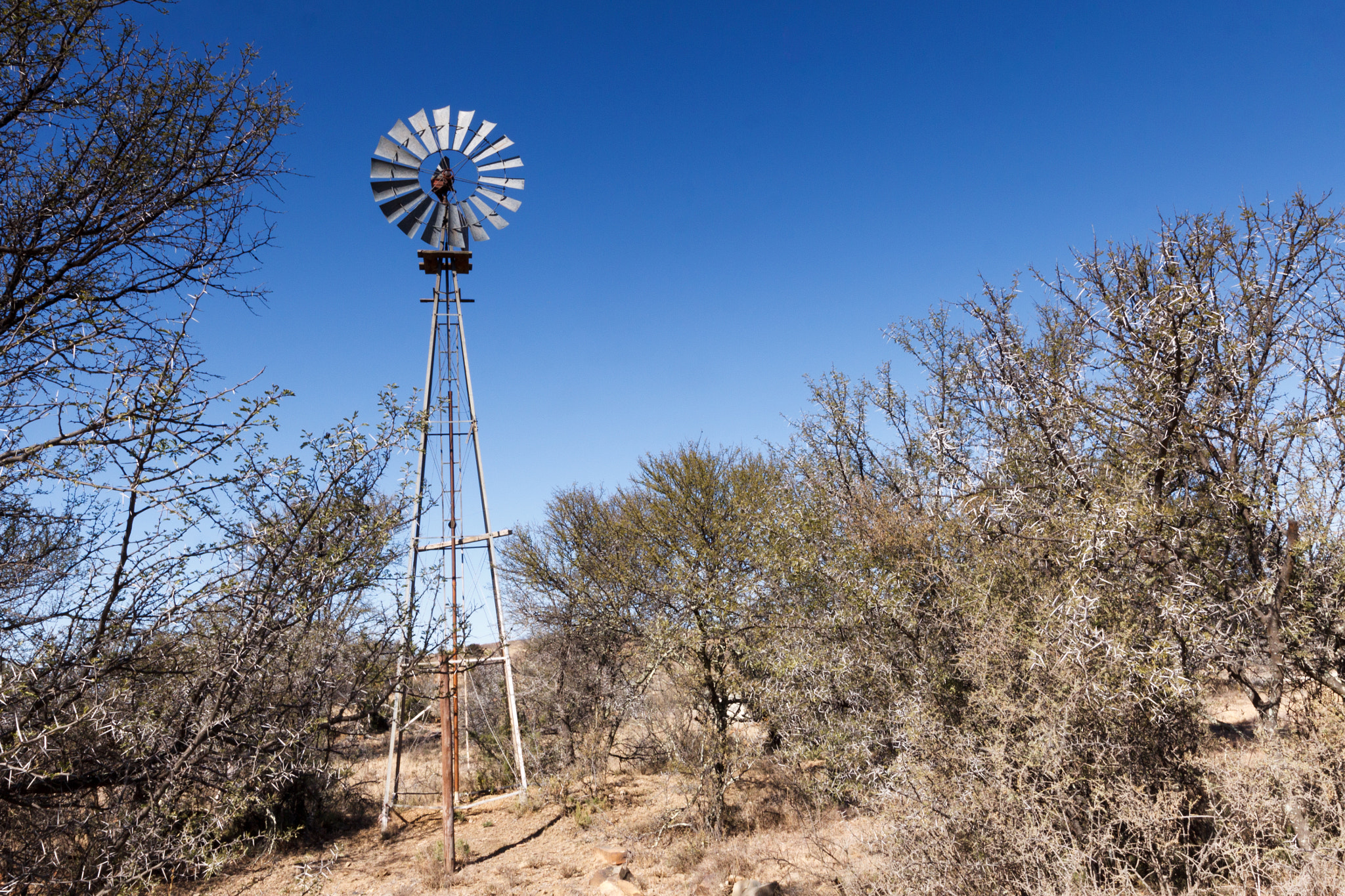 Canon EOS 50D + Canon EF 300mm f/2.8L sample photo. Poor lonely windmill at the mountain zebra national park photography
