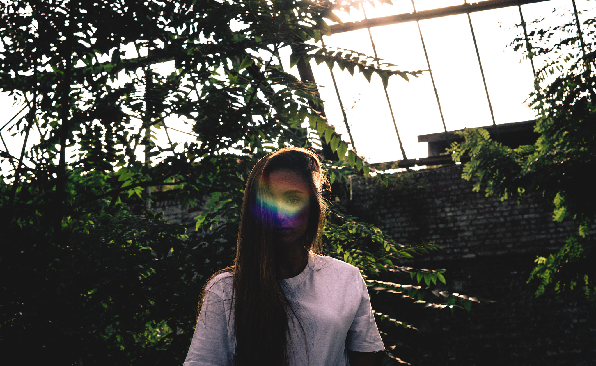 Sony a6300 + Sony FE 50mm F1.8 sample photo. Flares. photography