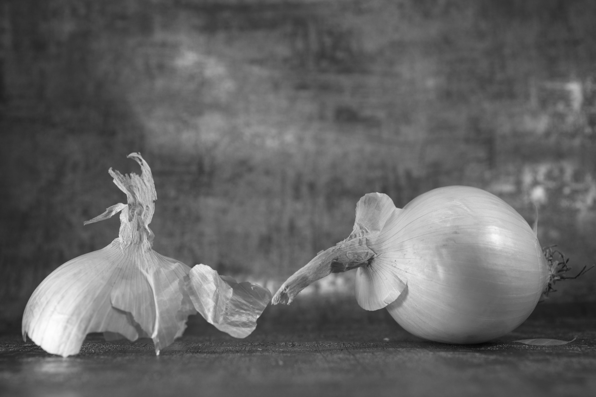 Canon EF 50mm F2.5 Macro sample photo. The princess and the rat photography
