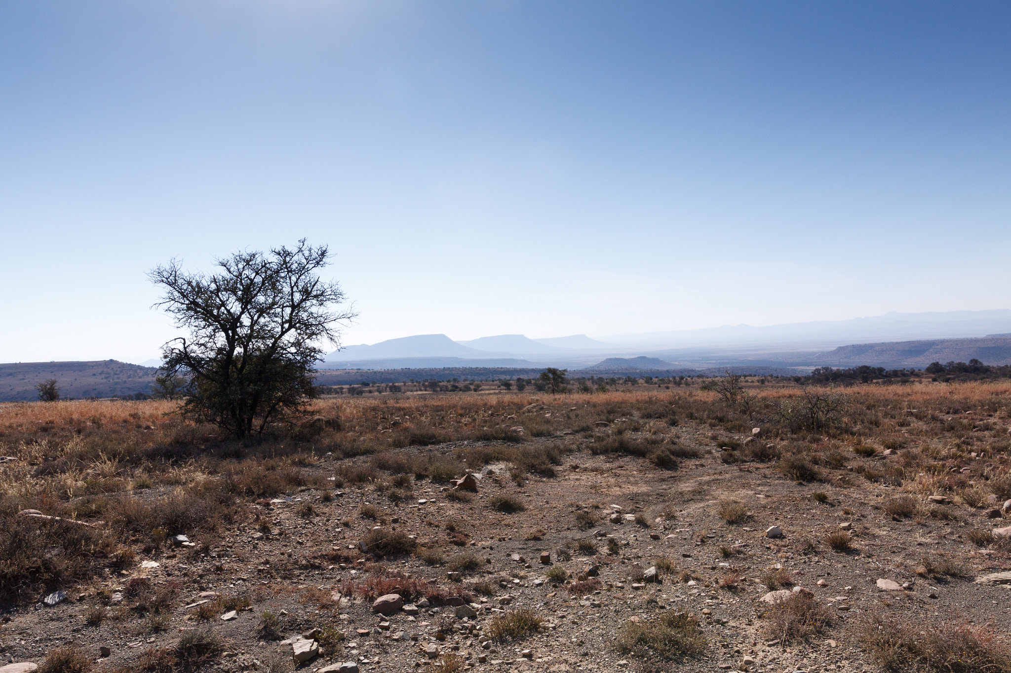 Canon EOS 50D + Canon EF 300mm f/2.8L sample photo. Three mountains land - mountain zebra national park photography