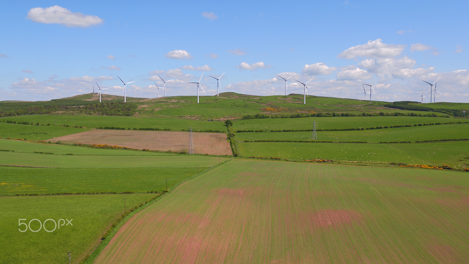 DJI FC550 sample photo