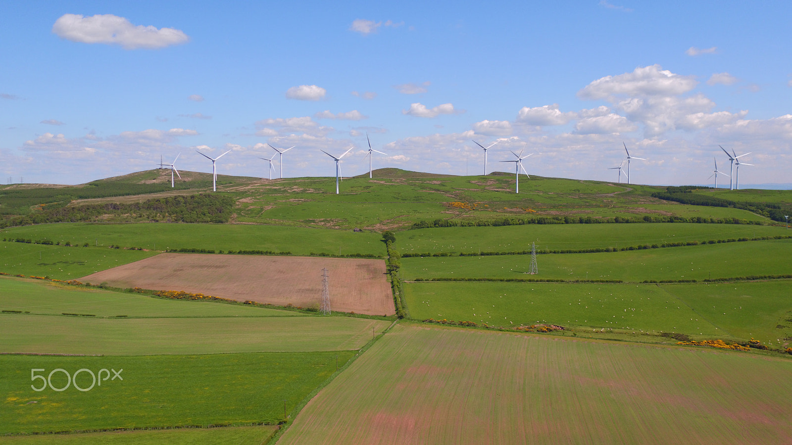 DJI FC550 sample photo