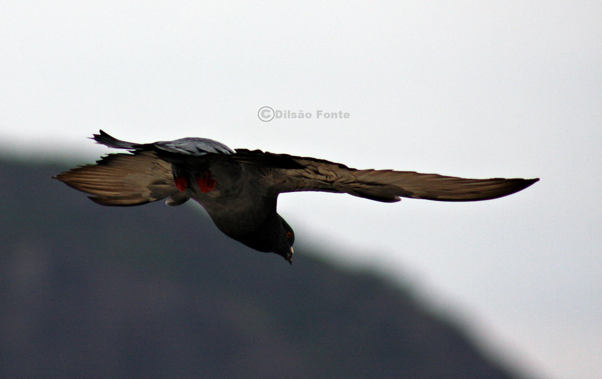 Canon EF 75-300mm f/4-5.6 USM sample photo. Img photography