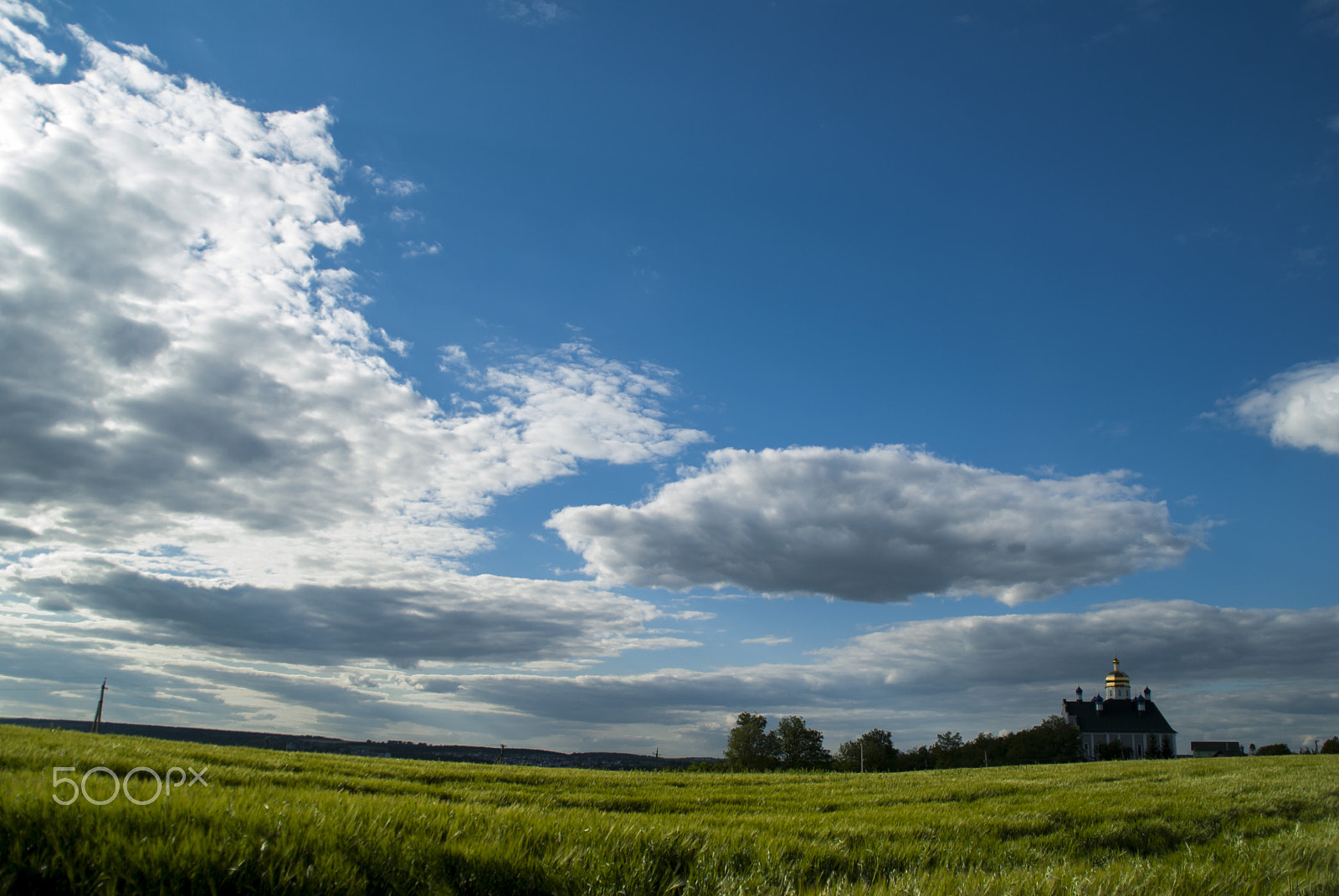 Nikon D200 sample photo. Nature.jpg photography