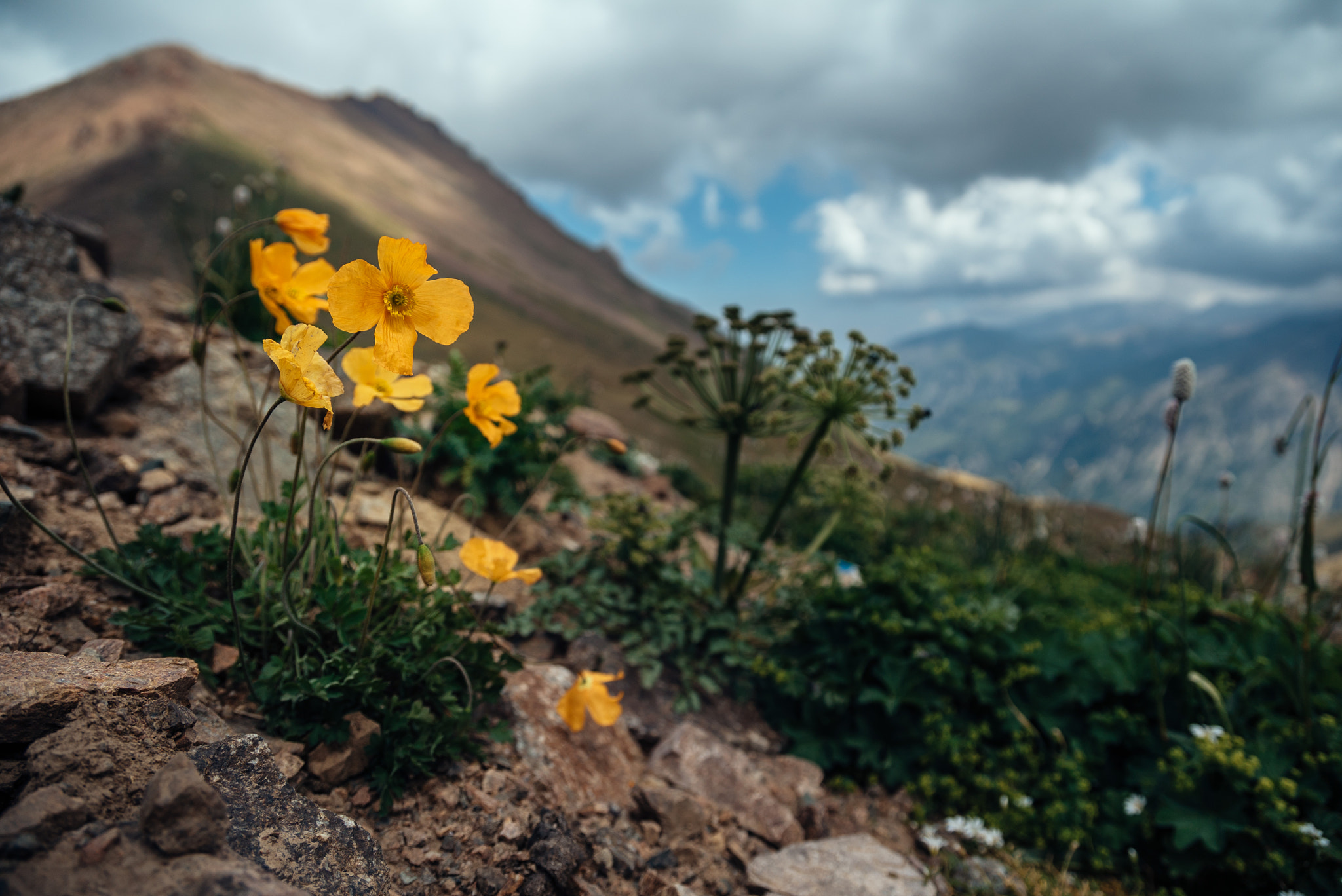 Sony a7S + Sony 70-400mm F4-5.6 G SSM sample photo. Mountains near almaty photography